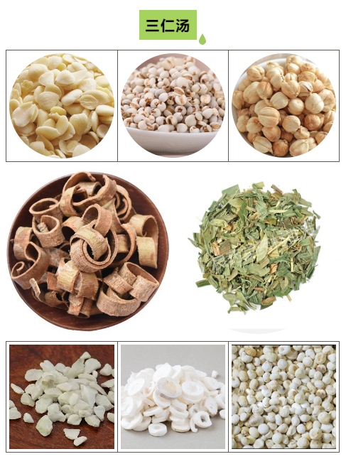 Eliminating Damp-Heat in the Body: The Efficacy of San Ren Tang