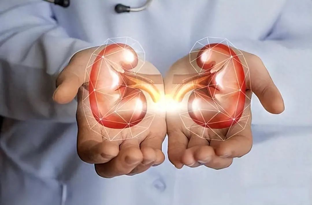 The Benefits of the Huangdi Neijing: An In-Depth Analysis of Its Significant Impact on Health Preservation