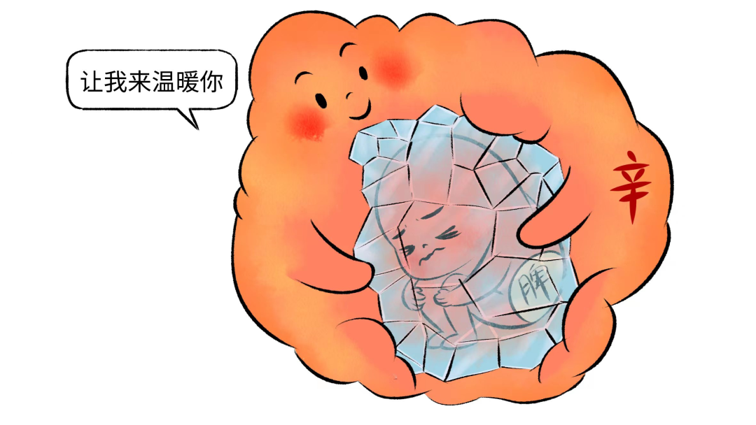 Nourishing the Spleen and Stomach in Summer: Foods to Restore Yang Qi
