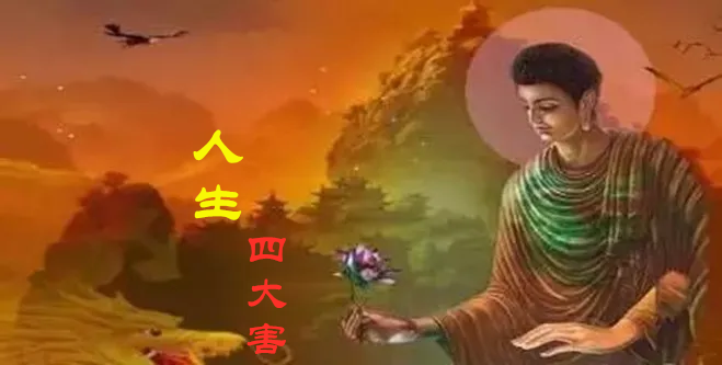 The Importance of Yin-Yang Balance in Feng Shui for Your Home