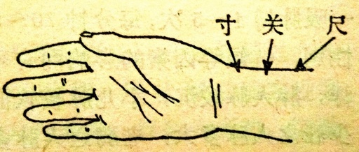 Traditional Chinese Medicine Diagnosis: Floating Pulse