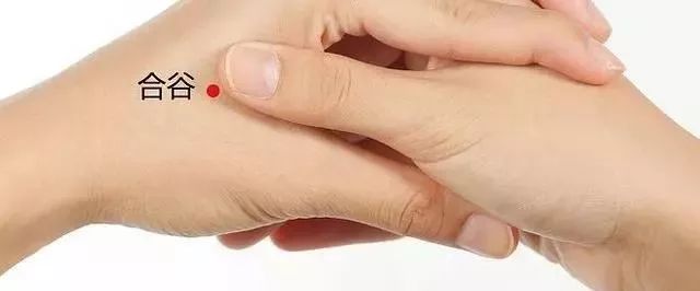 The Ten Most Important Acupuncture Points in the Human Body!