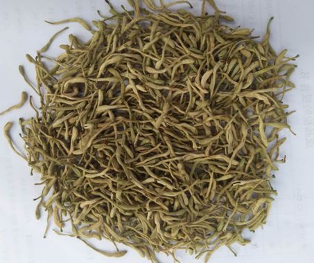 Understanding Jin Yin Hua (Honeysuckle Flower)