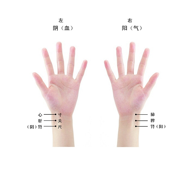 Methods of Pulse Diagnosis: Lifting, Pressing, and Seeking - What to Diagnose During Pulse Examination?