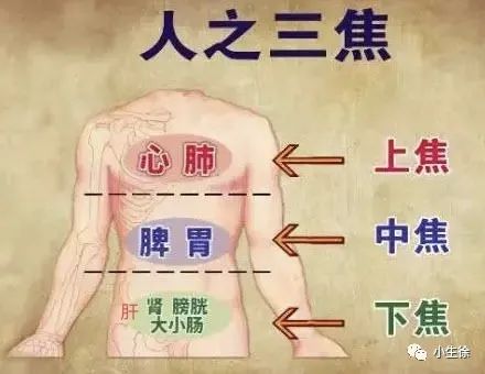 The Six Fu Organs: Gallbladder, Stomach, Small Intestine, Large Intestine, Bladder, and San Jiao