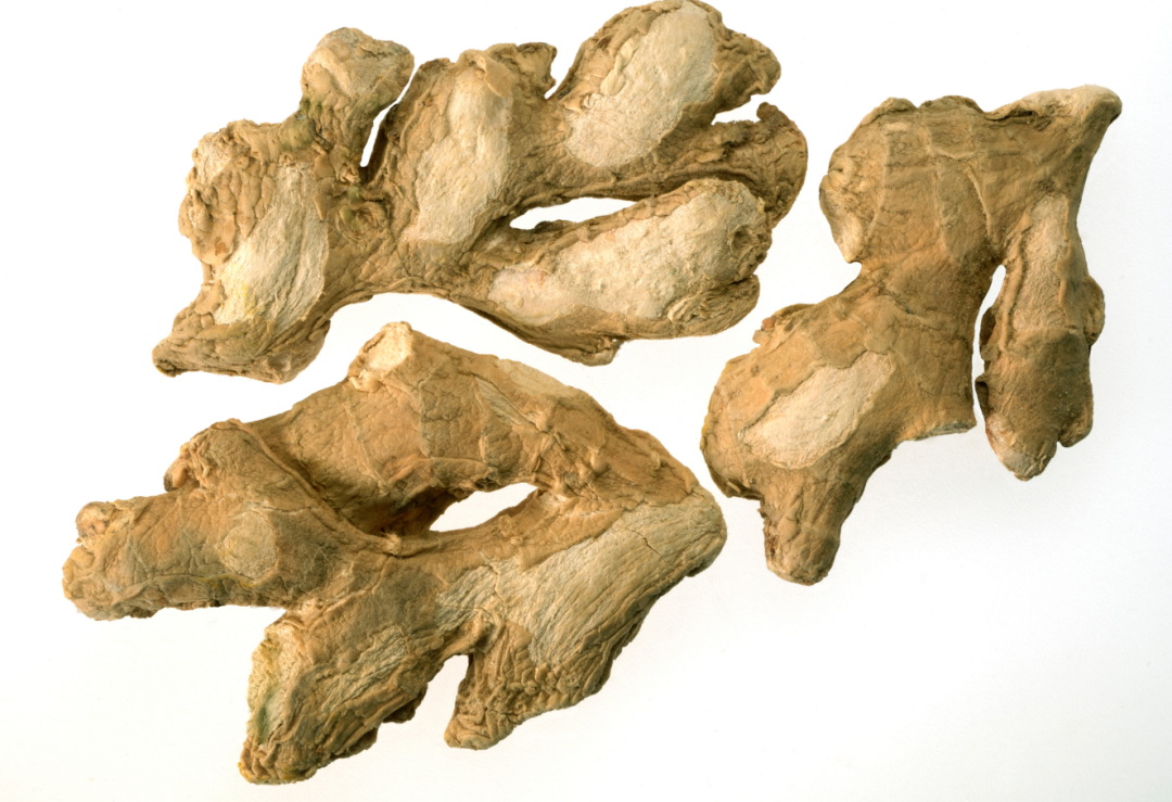 Warming the Interior and Dispelling Cold: Dried Ginger vs. Fresh Ginger