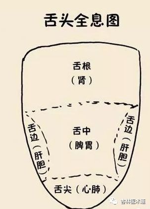 The Most Comprehensive TCM Tongue Diagnosis Atlas: Observe the Tongue, Understand the Whole Body!