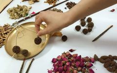 The Efficacy of Blood-Nourishing Chinese Medicinal Herbs