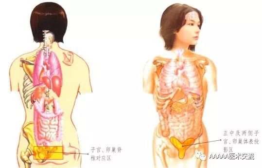 Gua Sha Lesson 21: Sexual Health Care