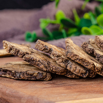The Efficacy and Usage of Chuanxiong (Ligusticum chuanxiong)