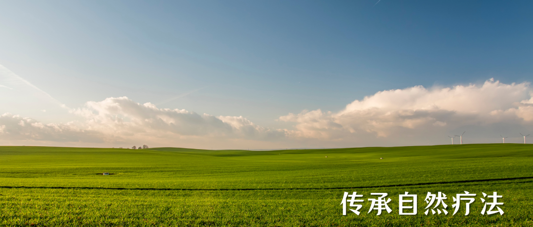 The Theory of the Five Organs and Their Spirits: Heart Houses the Shen, Lung Houses the Po, Liver Houses the Hun, Spleen Houses the Yi, Kidney Houses the Zhi!