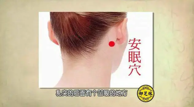 47 Unique Acupuncture Points Worth Seeing! (Collector's Edition)