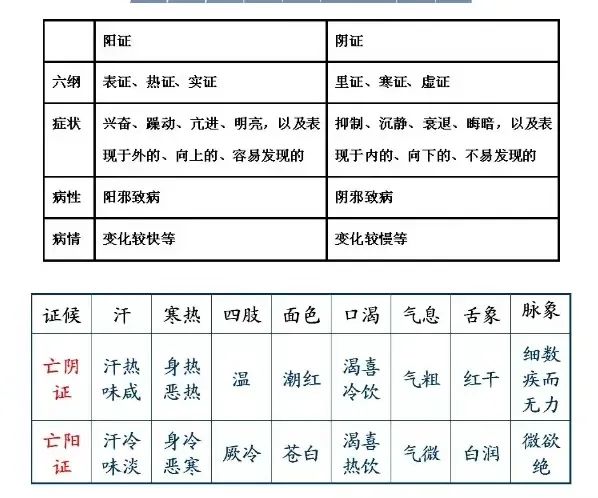 Understanding TCM Diagnosis: Eight Principles and Organ Differentiation to Enhance Your Diagnostic Skills