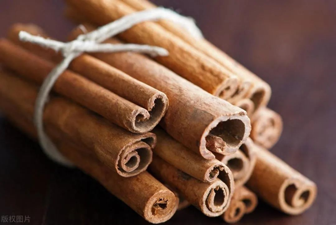 Traditional Chinese Medicine: Understanding Yin-Yang Transformation for Health and Longevity