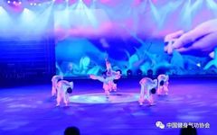 What is Daoyin Technique?