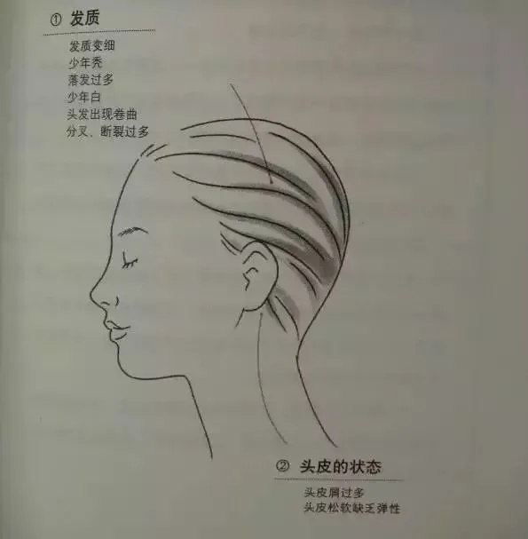 Essential Guide to TCM Observation Diagnosis