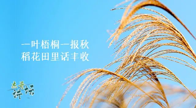 A Formula to Nourish the Five Organs' Essence, Harmonize Yin and Yang, and Achieve Remarkable Effects!