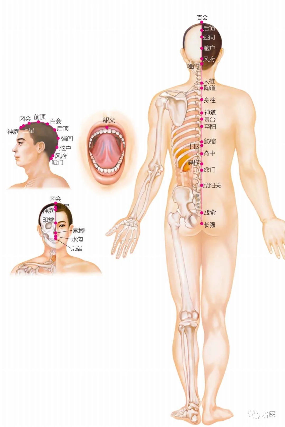 Health Preservation Strategies for Yin Deficiency Constitution