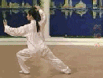 Comprehensive Guide to Tai Chi Movements: Exercise at Home!