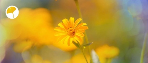 Xinglin Daily | Summer Spleen and Stomach Vulnerability! Three Common Causes of Spleen Qi Deficiency to Avoid