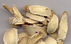 Astragalus (Huang Qi)