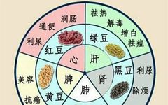 Nurturing the Five Organs (Heart, Liver, Spleen, Lung, Kidney) in Traditional Chinese Medicine