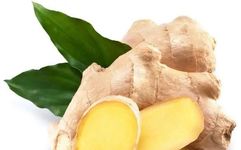 The Efficacy of Dried Ginger is Several Times Stronger than Fresh Ginger! What You May Not Know