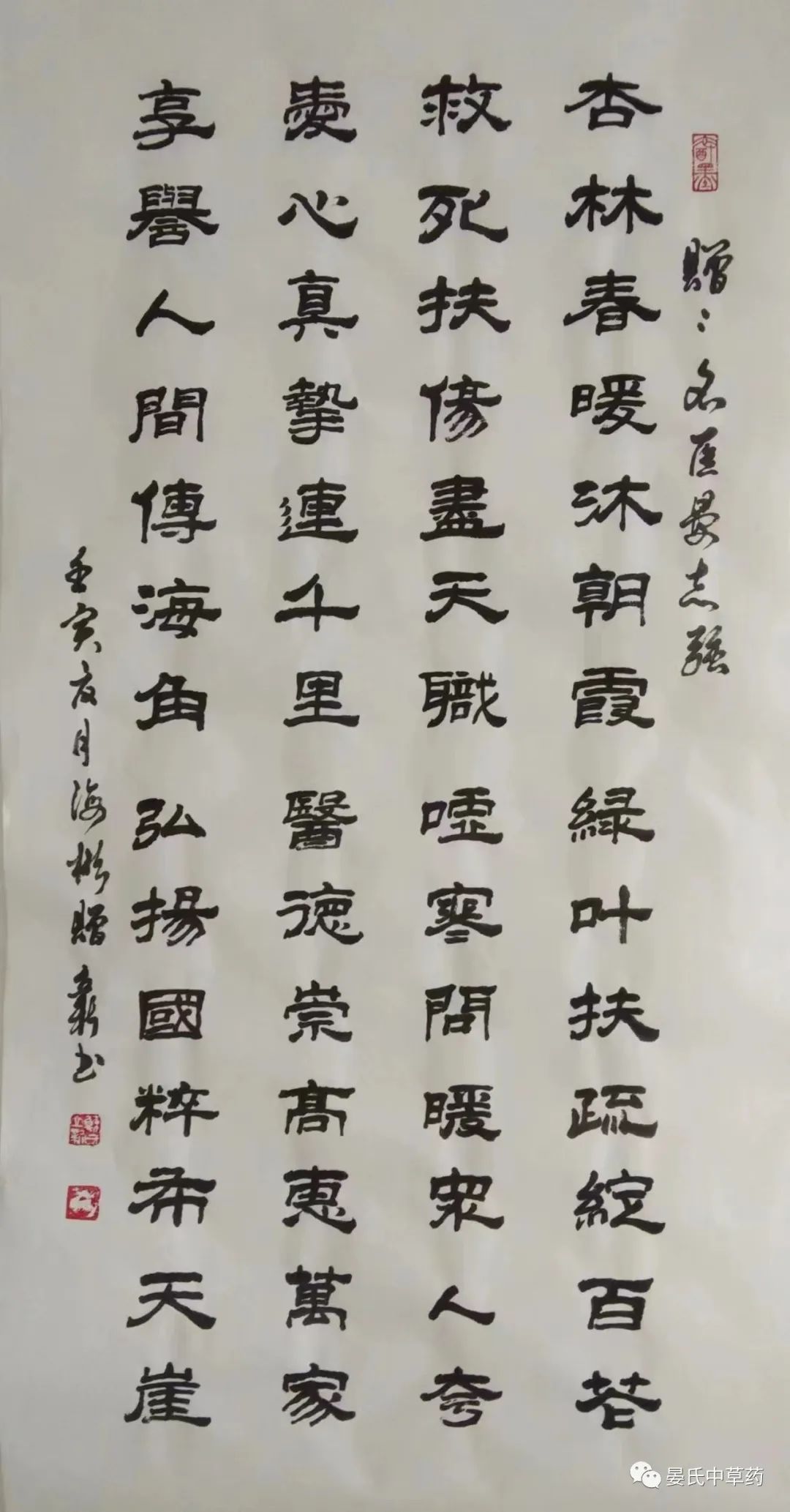The Marvelous Uses and Contraindications of Huang Qi (Astragalus)