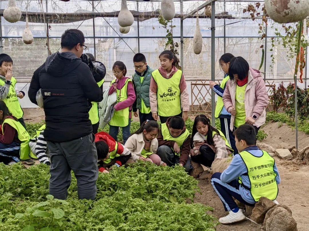 Exploring Medicinal Herbs and Agricultural Experiences: Class 2 of 2020 at Park Primary School Enjoys Springtime in the Fields