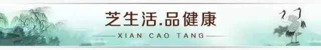 Foundations of Traditional Chinese Medicine: Functions of the Five Organs and Six Bowels