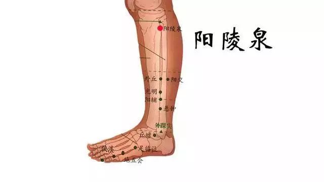 Comprehensive Guide to 35 Common Acupuncture Points: Locations and Effects with Detailed Diagrams