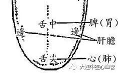 The Health Code Revealed by Your Tongue: A Series on Tongue Diagnosis in Traditional Chinese Medicine (Part II)