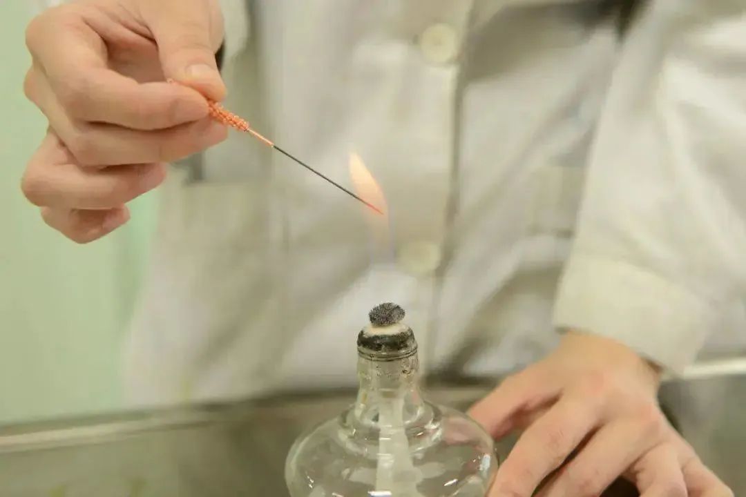 Special Treatment Methods in Dermatology According to Traditional Chinese Medicine