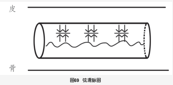 Understanding the Xian Pulse in Traditional Chinese Medicine