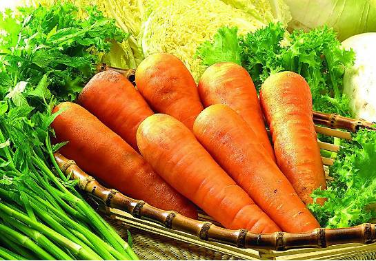 The Way of Health Preservation | Did You Know? Even Those with a Harmonious Constitution Need to "Nurture"!