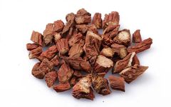 Understanding Danshen (Salvia miltiorrhiza) in Traditional Chinese Medicine