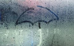 Eliminating Dampness: Tips to Strengthen the Spleen and Assist Yang, Banish Excess "Dampness"