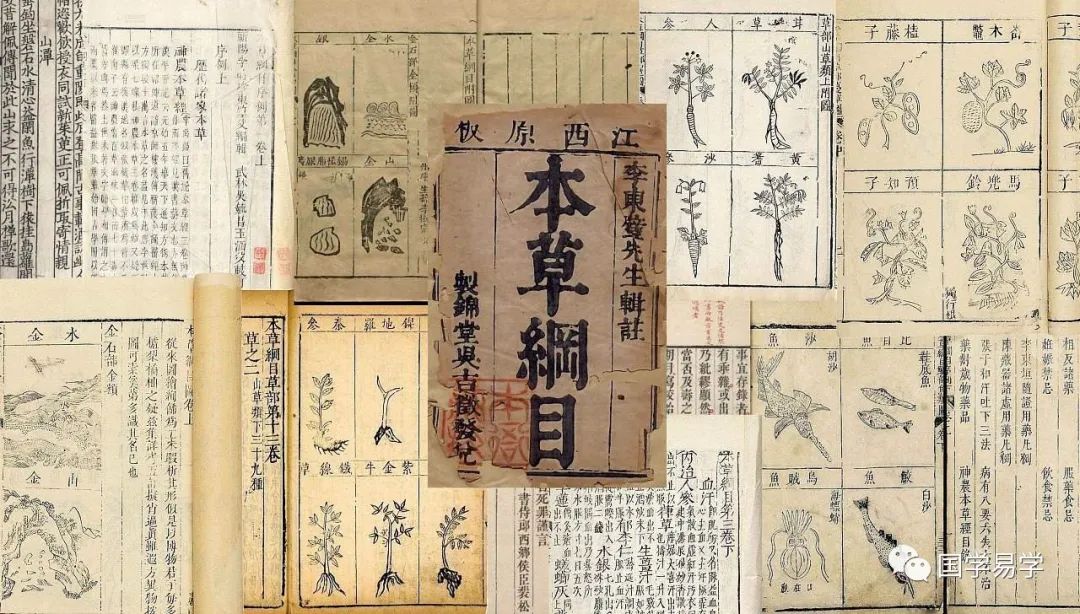Exploring the Secrets of the Compendium of Materia Medica