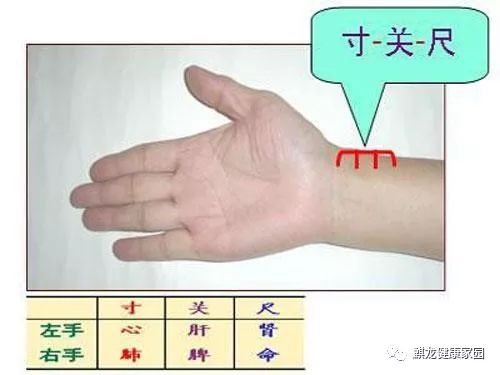Pulse Diagnosis Methods in Traditional Chinese Medicine