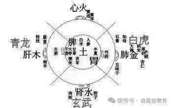 The Principle of Yin-Yang Balance in Traditional Chinese Medicine