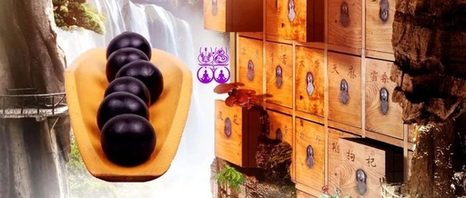 Traditional Chinese Medicine Pills: History, Development, and Innovations