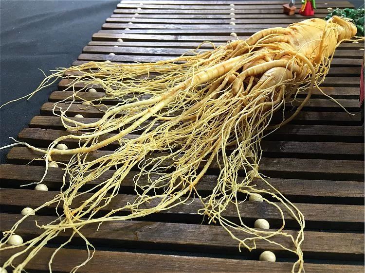 The Efficacy and Consumption Methods of Ginseng