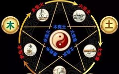 Preventing Liver and Spleen Diseases: TCM Teaches You the Interactions of the Five Elements and Organs