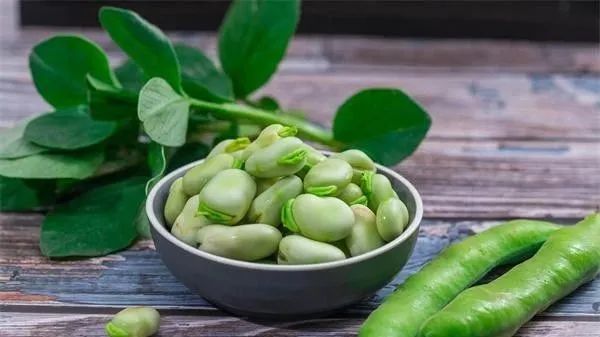 10 Essential Foods for Blood Nourishment