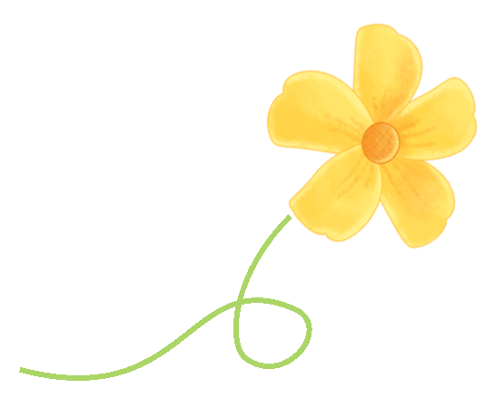 Spring Equinox Health Preservation: Balancing Yin and Yang