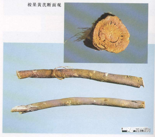 Traditional Chinese Medicine - Huangqi (Astragalus Root)