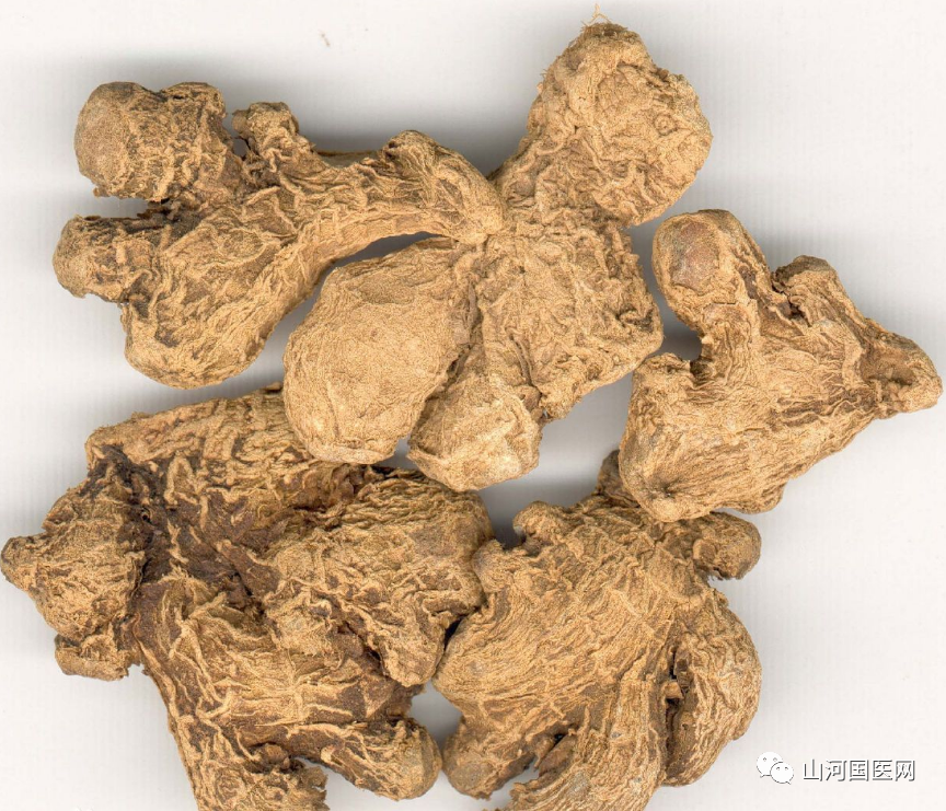 Traditional Chinese Medicine: Dried Ginger