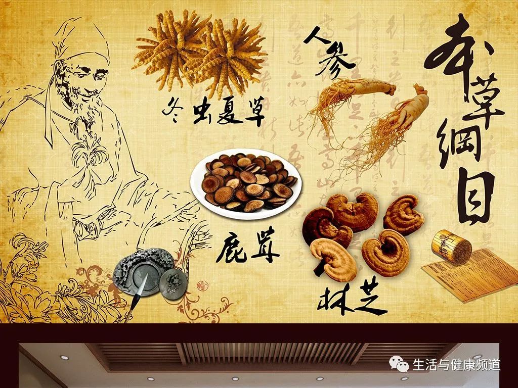 Foundations of Traditional Chinese Medicine: Understanding Xu and Shi