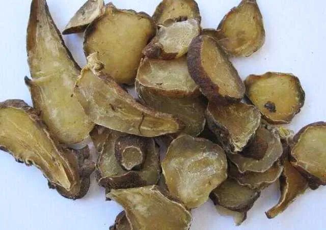 The Efficacy and Preparation Methods of Aconite