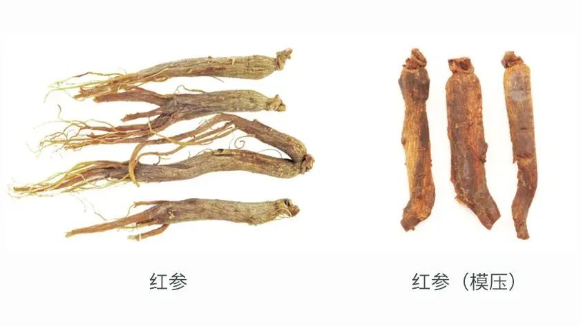 Understanding Ginseng: A Comprehensive Guide to Its Benefits and Uses in Traditional Chinese Medicine